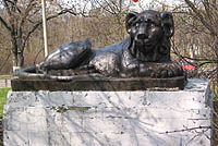 Лев на ограде парадного двора