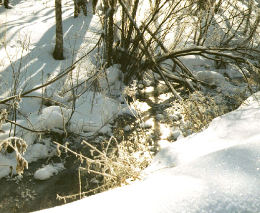 Речка Лось зимой