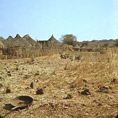 Малийская деревня